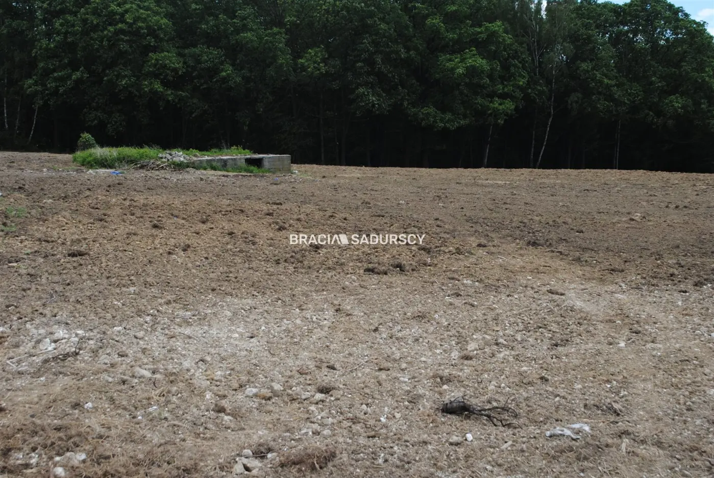 Działka budowlano-rolno-leśna w Jankówce