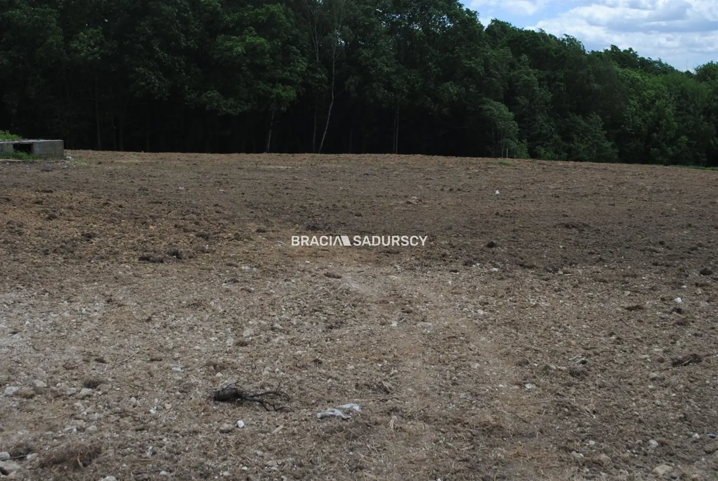 Działka budowlano-rolno-leśna w Jankówce