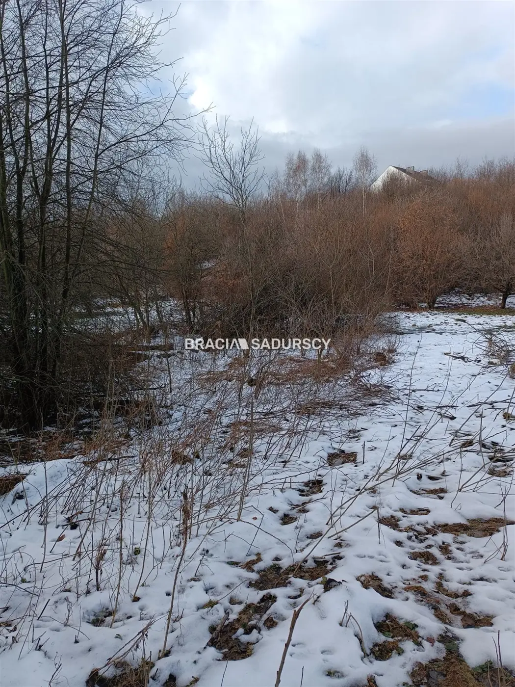 Duża działka inwestycyjna w Czarnochowicach