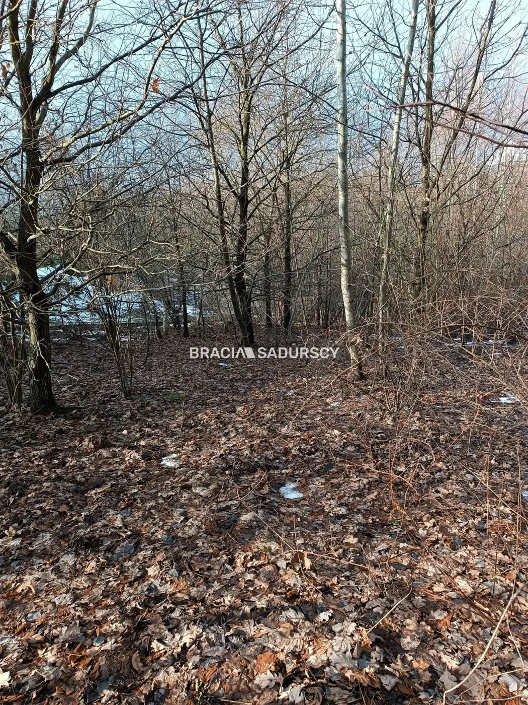Duża działka inwestycyjna w Czarnochowicach