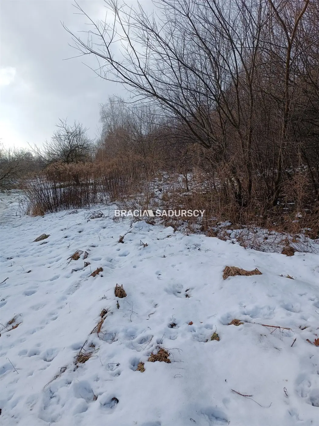 Duża działka inwestycyjna w Czarnochowicach