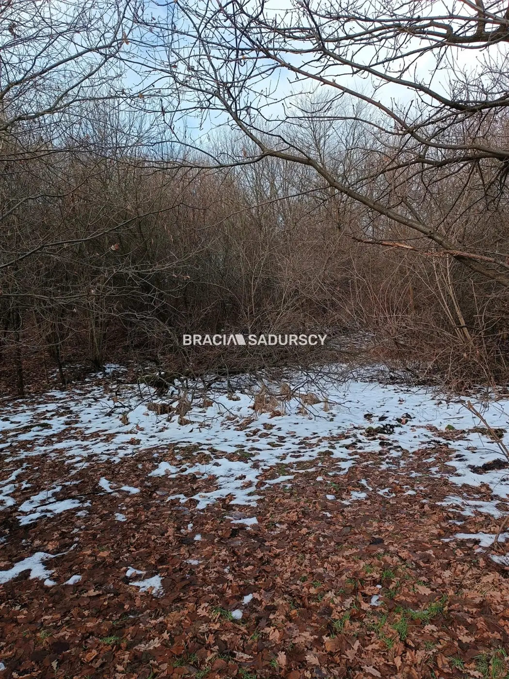 Duża działka inwestycyjna w Czarnochowicach