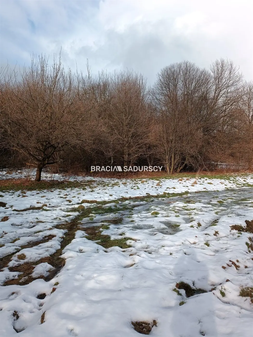 Duża działka inwestycyjna w Czarnochowicach