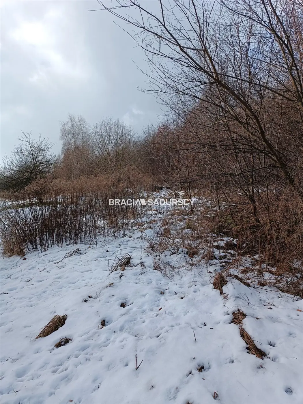 Duża działka inwestycyjna w Czarnochowicach