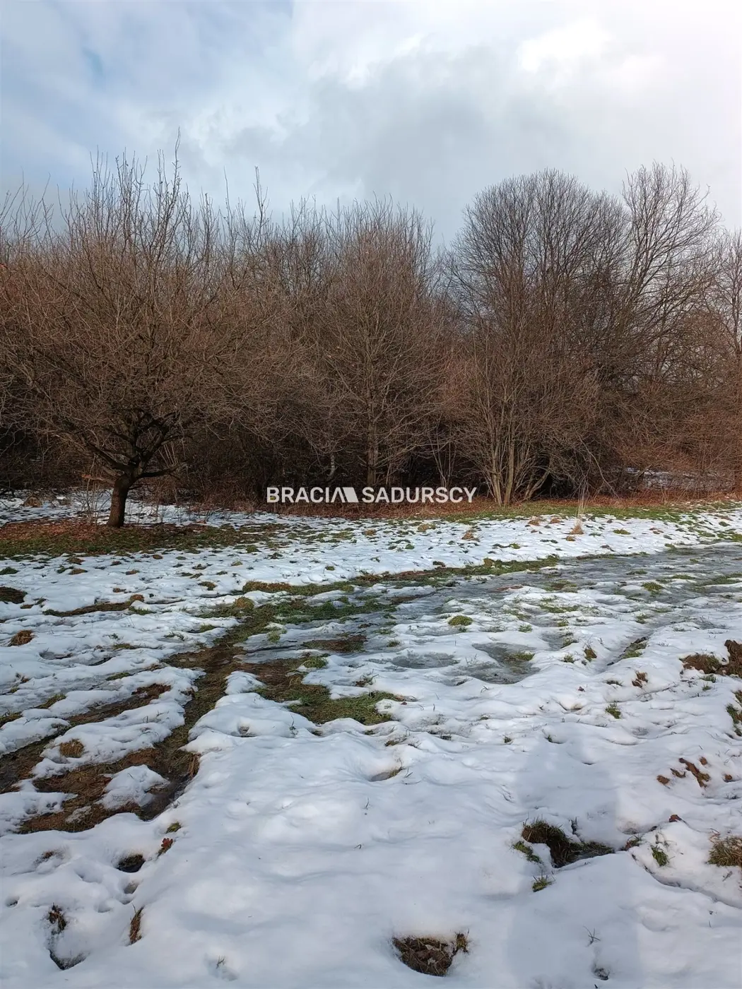 Duża działka inwestycyjna w Czarnochowicach