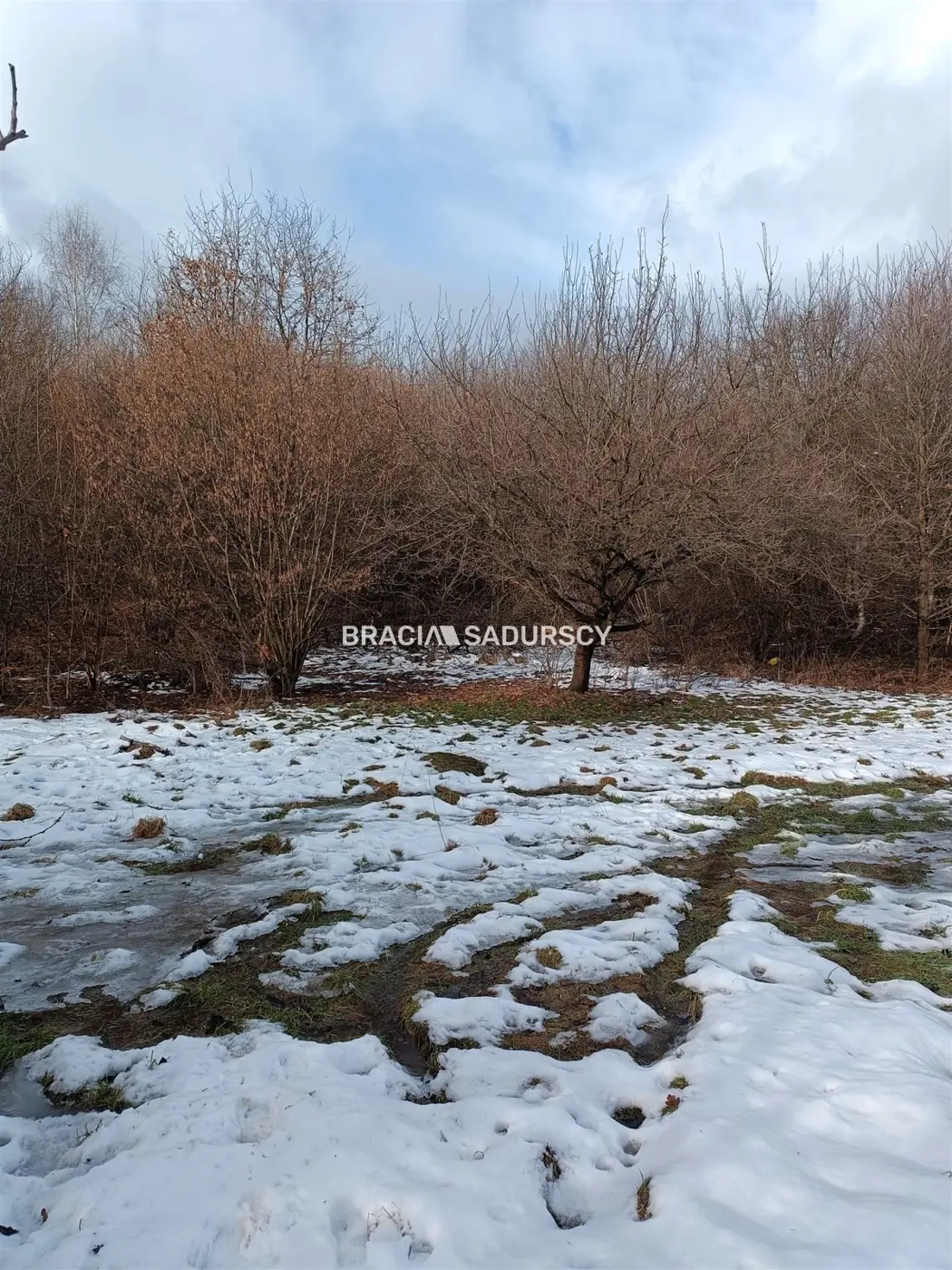 Duża działka inwestycyjna w Czarnochowicach