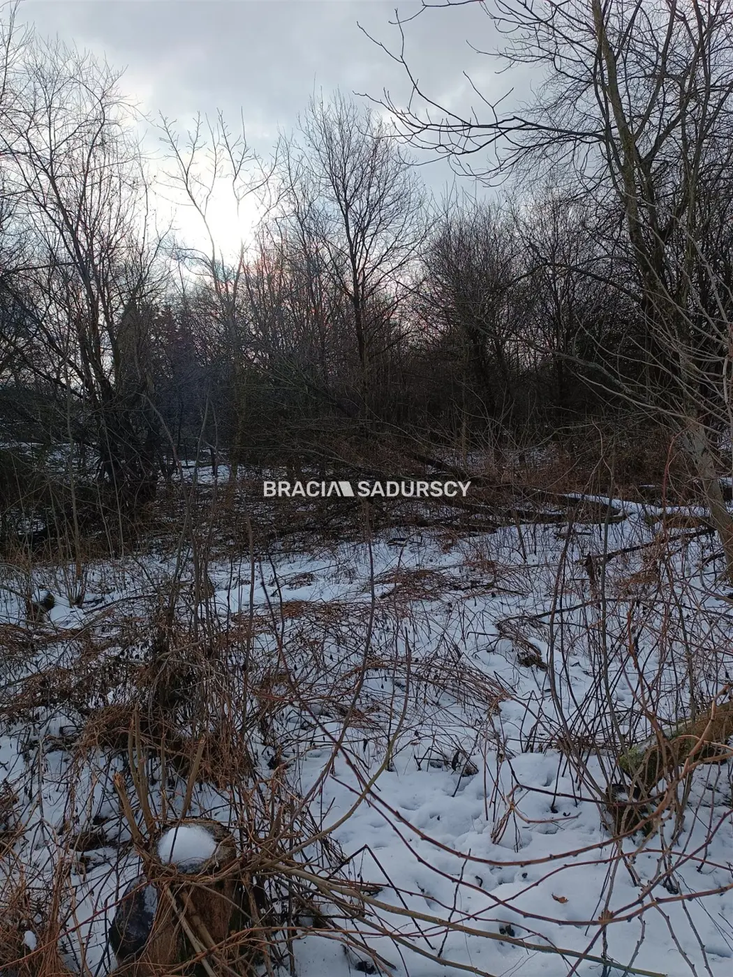 Duża działka inwestycyjna w Czarnochowicach