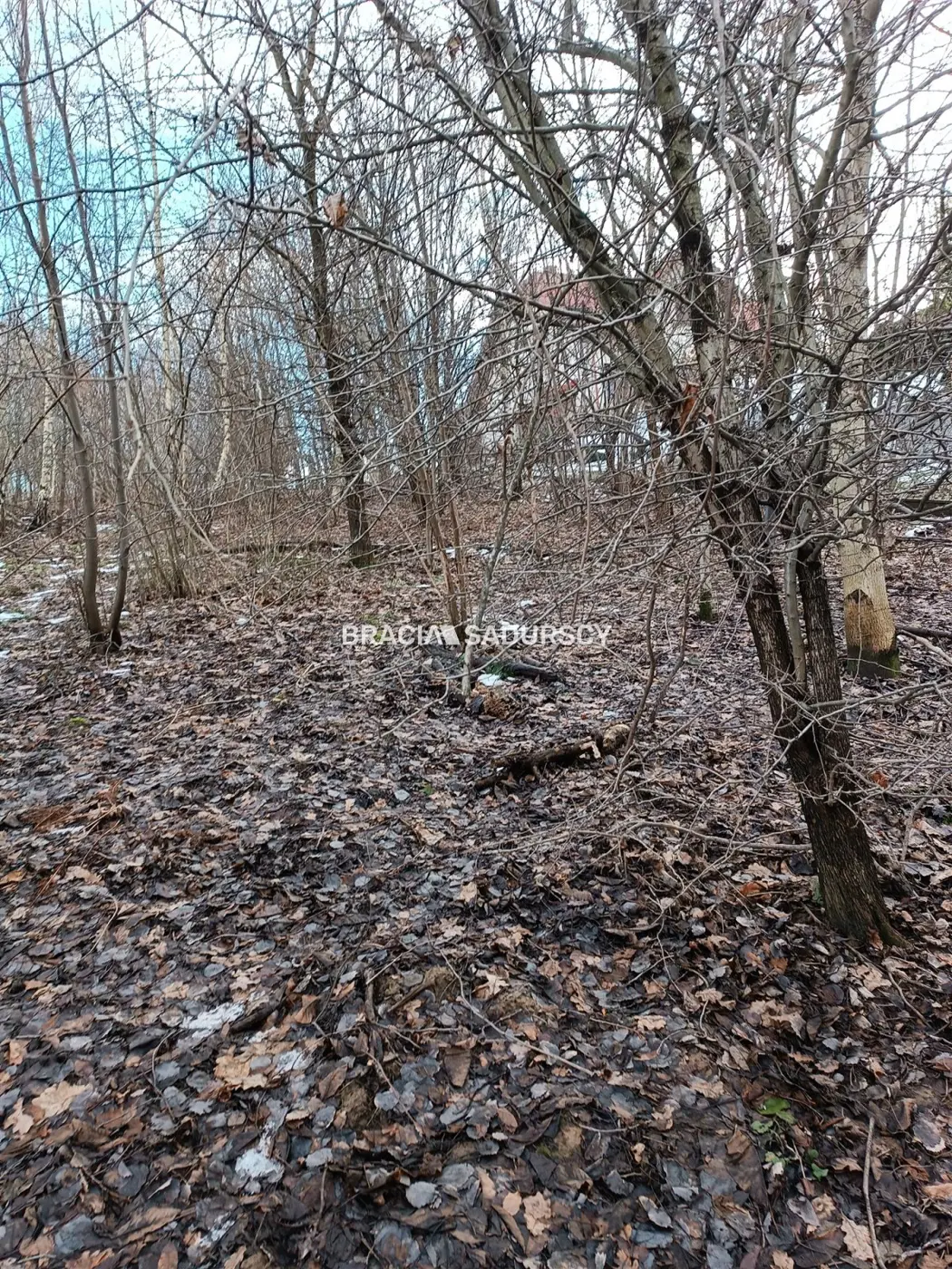 Duża działka inwestycyjna w Czarnochowicach