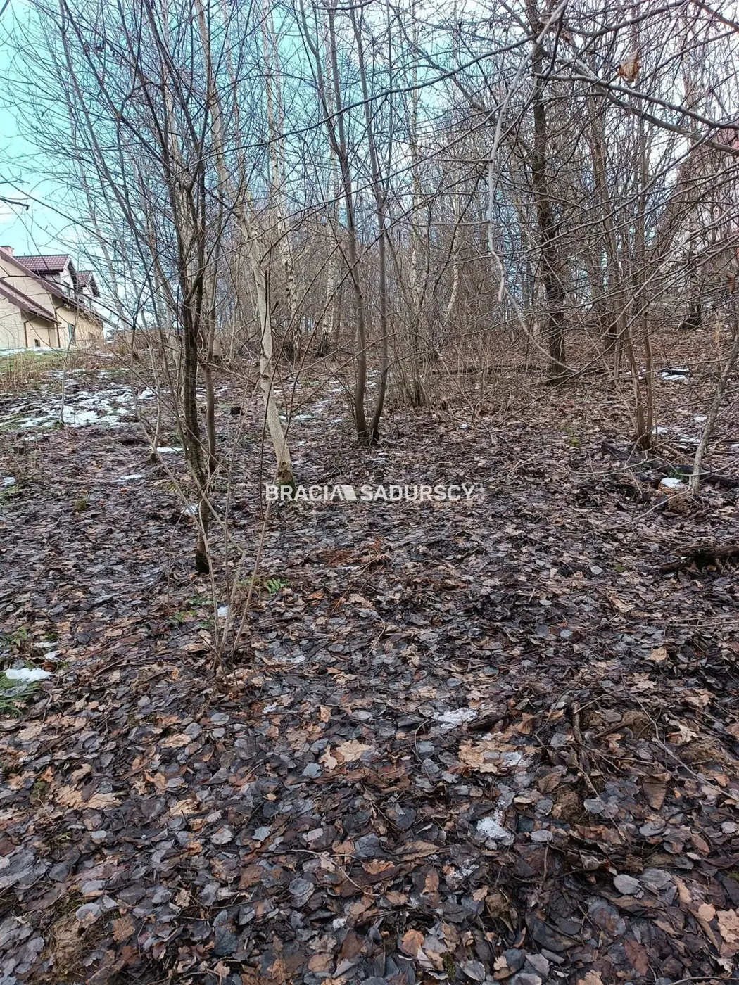 Duża działka inwestycyjna w Czarnochowicach