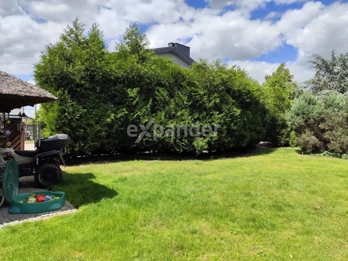 Lokal budynek biuro biura magazyn, lokalizacja