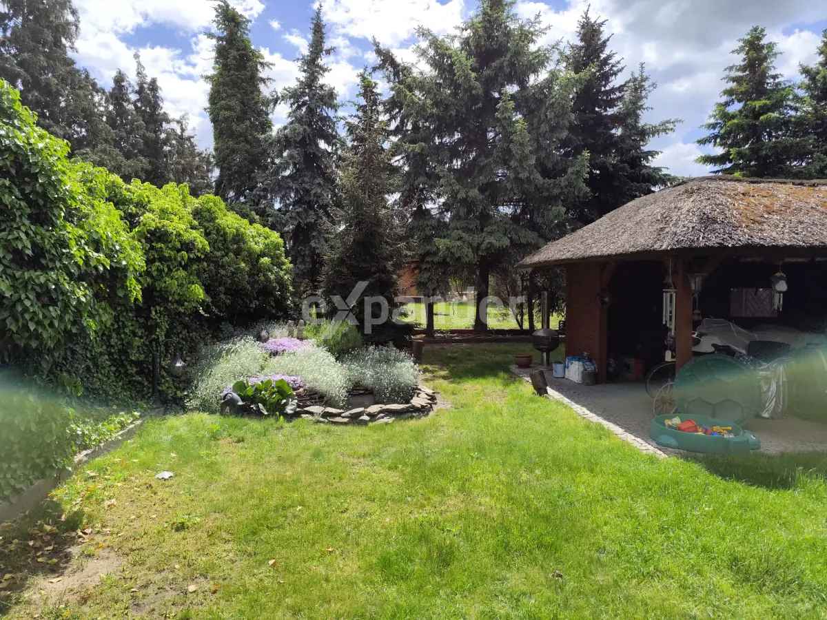 Lokal budynek biuro biura magazyn, lokalizacja