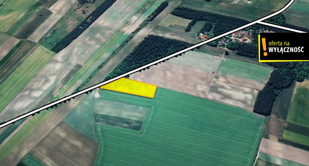 Działka rolna Wierzbie - 11000 mkw.