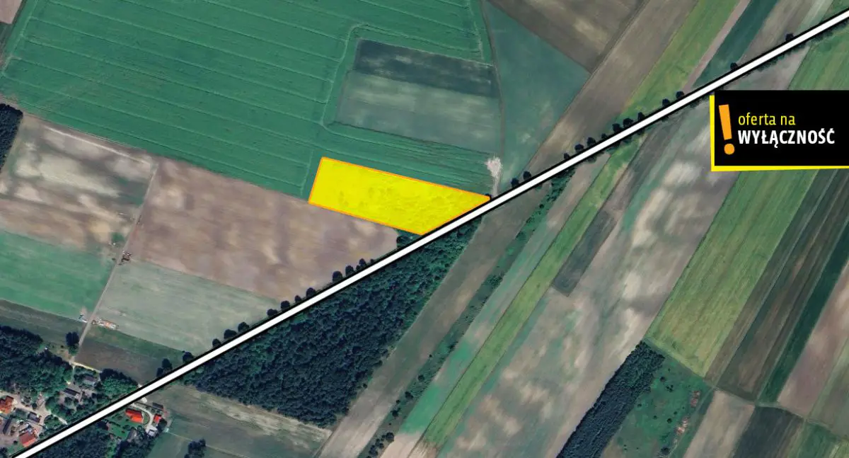 Działka rolna Wierzbie - 11000 mkw.