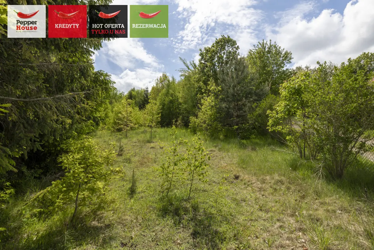 Kielno – działka budowlana z potencjałem usługowym