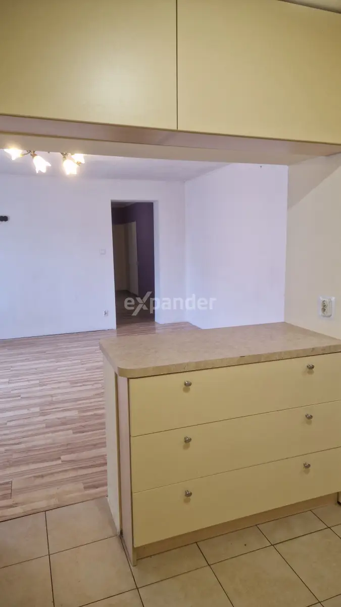 Duże mieszkanie w domu wielorodzinnym