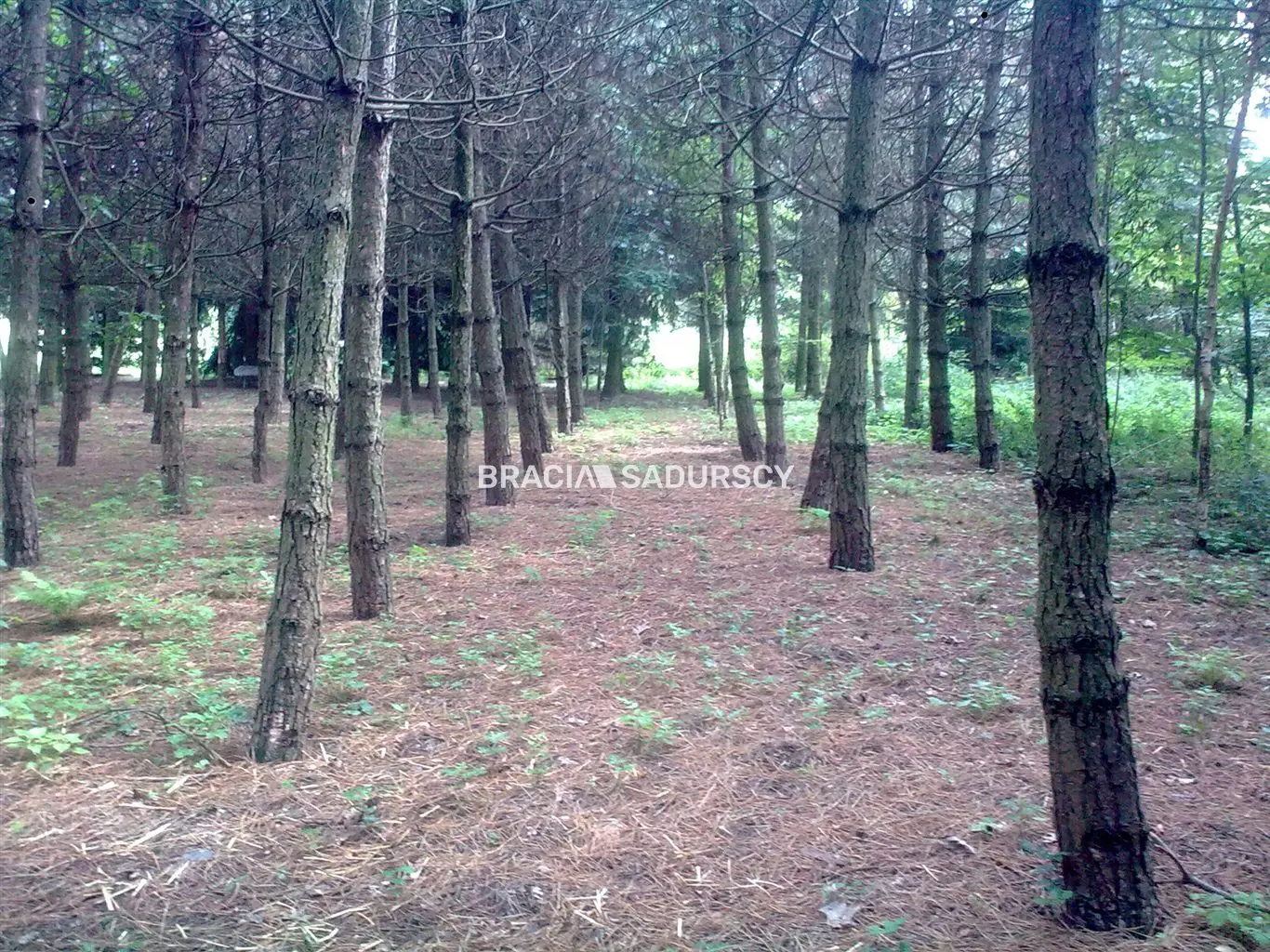 Wolnostojący dom ok. 600 m2