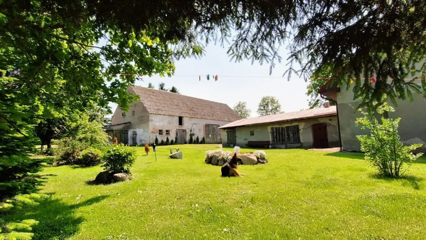 Gospodarstwo Na Sprzedaż