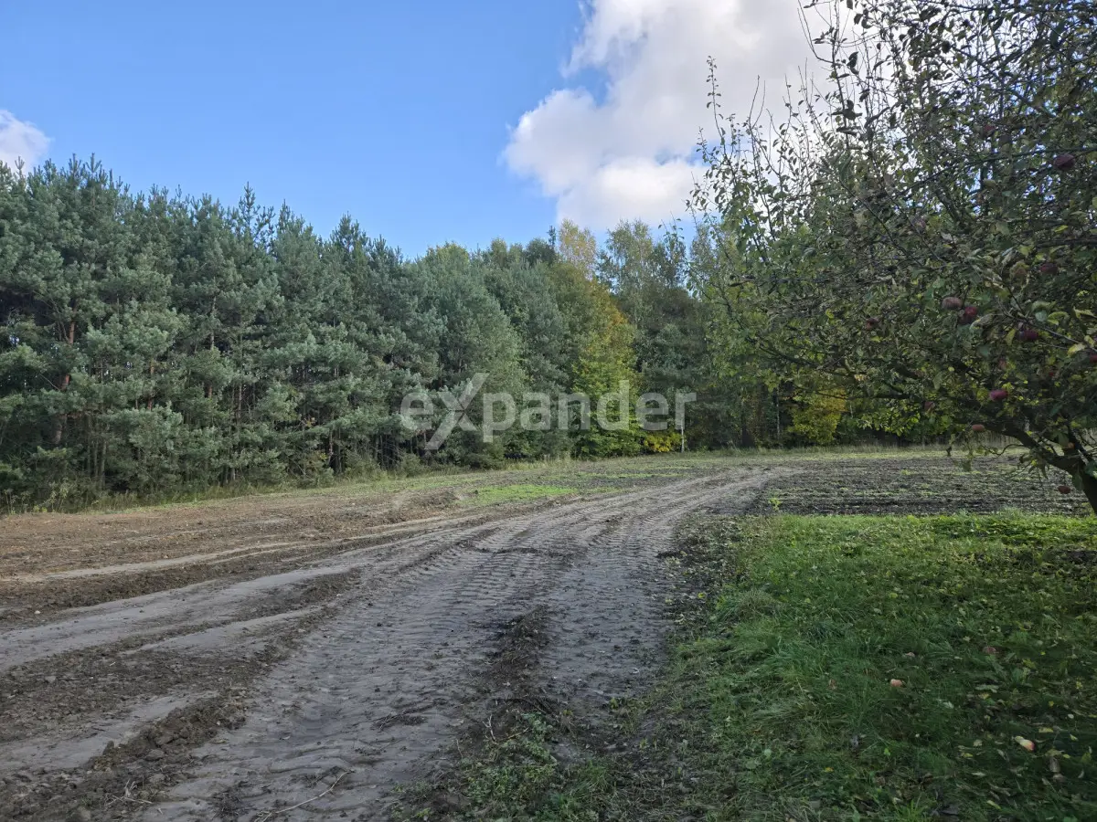 1,5km od szkoły w Wierzchowisku