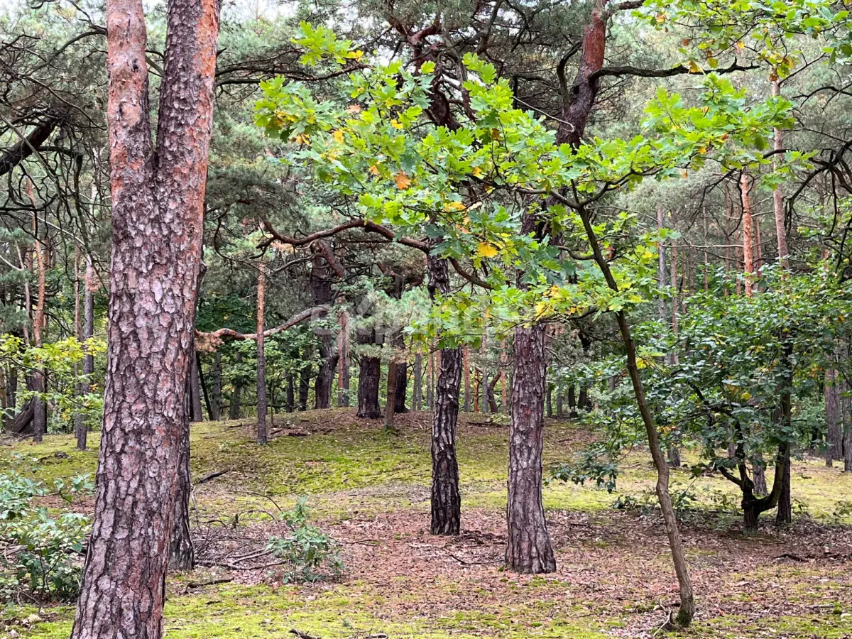 za pół roku koniec budowy