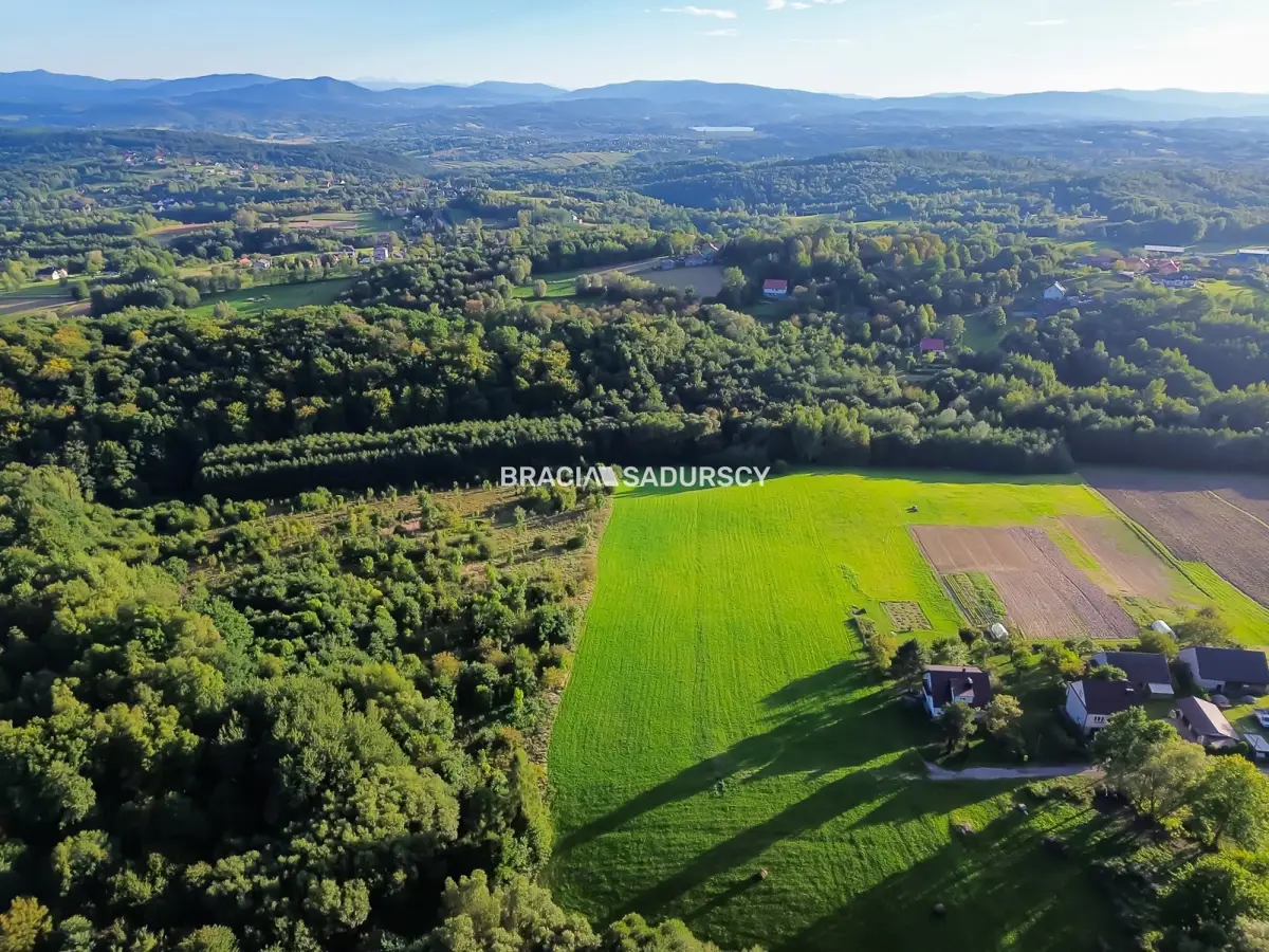 Duża działka z potencjałem inwestycyjnym – 2,52 ha