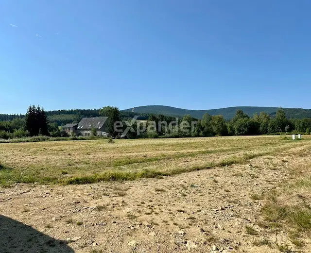 DZIAŁKA 1500 M2 W SERCU NATURY ŚWIERADÓW ZDRÓJ