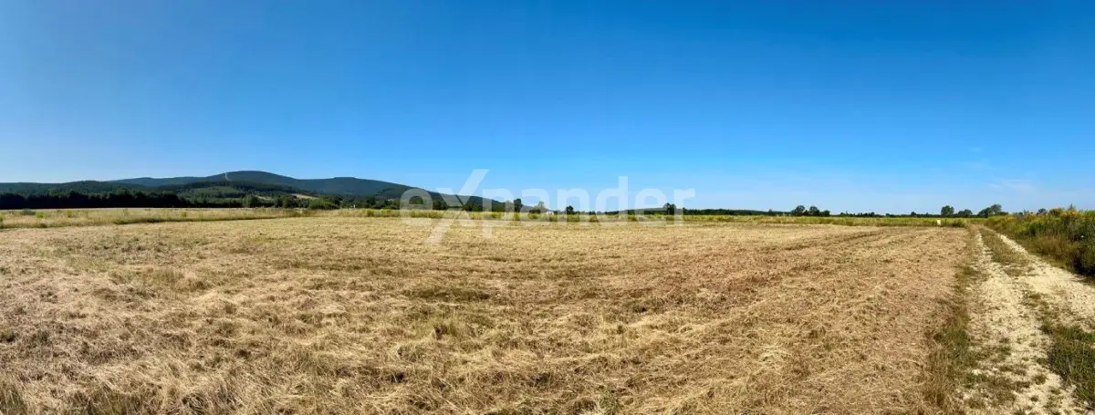 DZIAŁKA 1500 M2 W SERCU NATURY ŚWIERADÓW ZDRÓJ