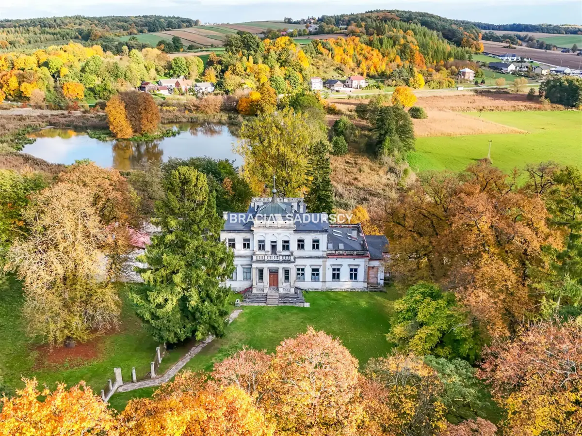 Pałac w Sancygniowie — Park, Staw, Sad, Historia