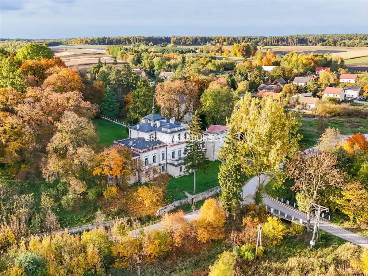 Pałac w Sancygniowie — Park, Staw, Sad, Historia