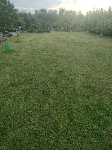 Piekny duzy dom z duzą działką (54ar)