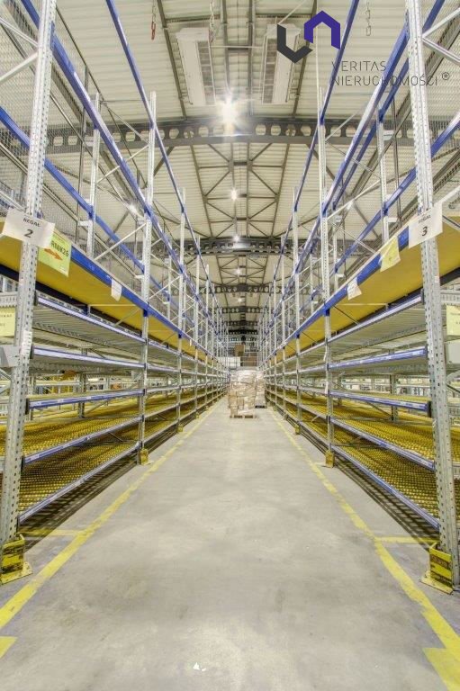 HALA MAGAZYNOWA/PRODUCKYJNA OD WYNAJĘCIA.